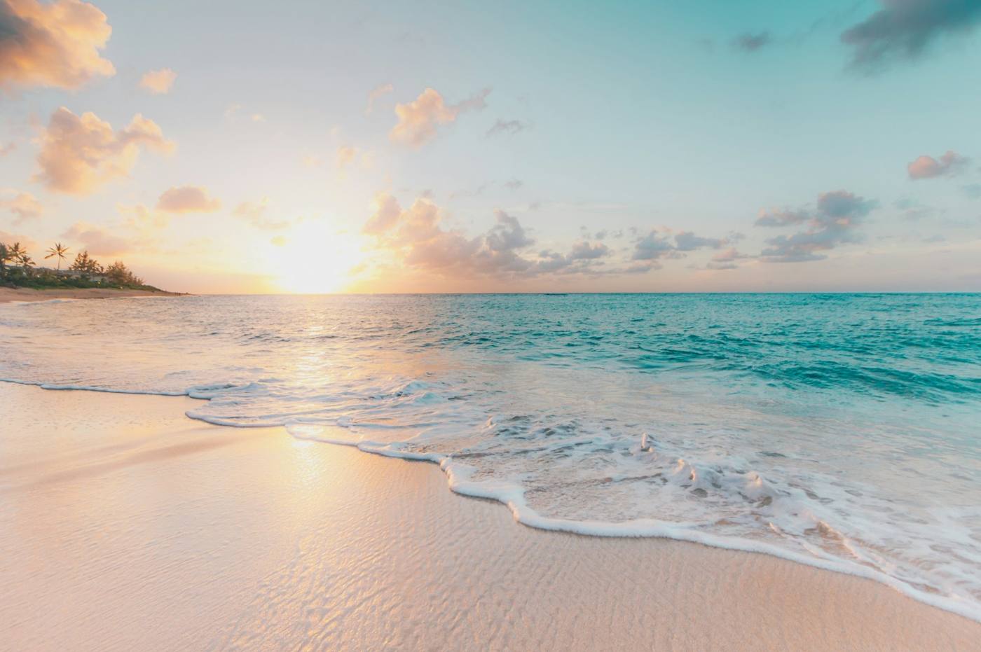 A calm Caribbean shoreline